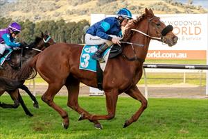 Hillcrest Moses & Robbie Downey, Wodonga, May 2022 Hillcrest Moses & Robbie Downey, Wodonga, May 2022
